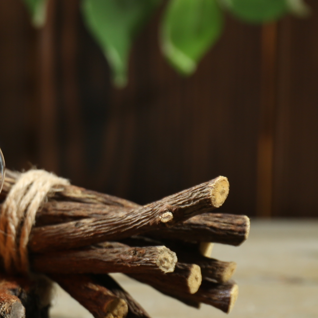 A bundle of liquorice root sticks